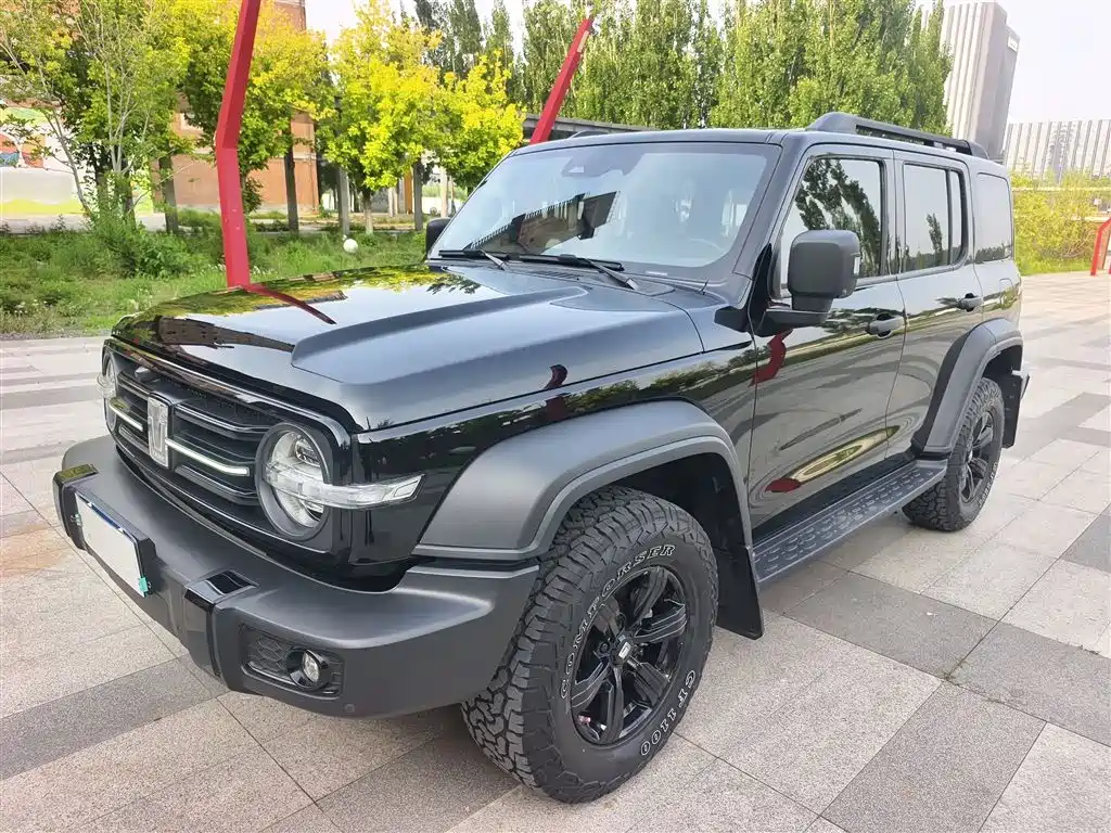 TANK 300