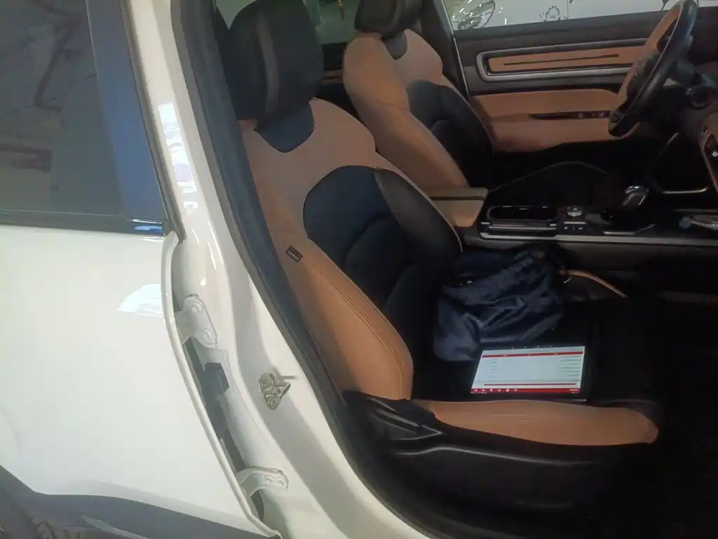 Фото 21 - Geely ICON