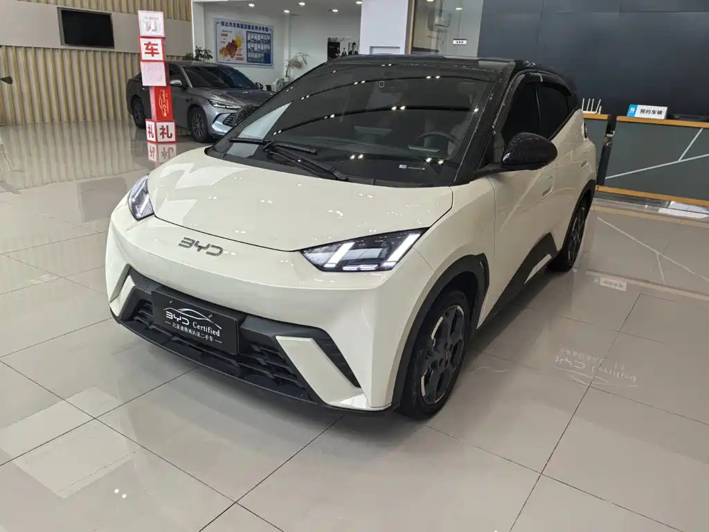 BYD Seagull 2025