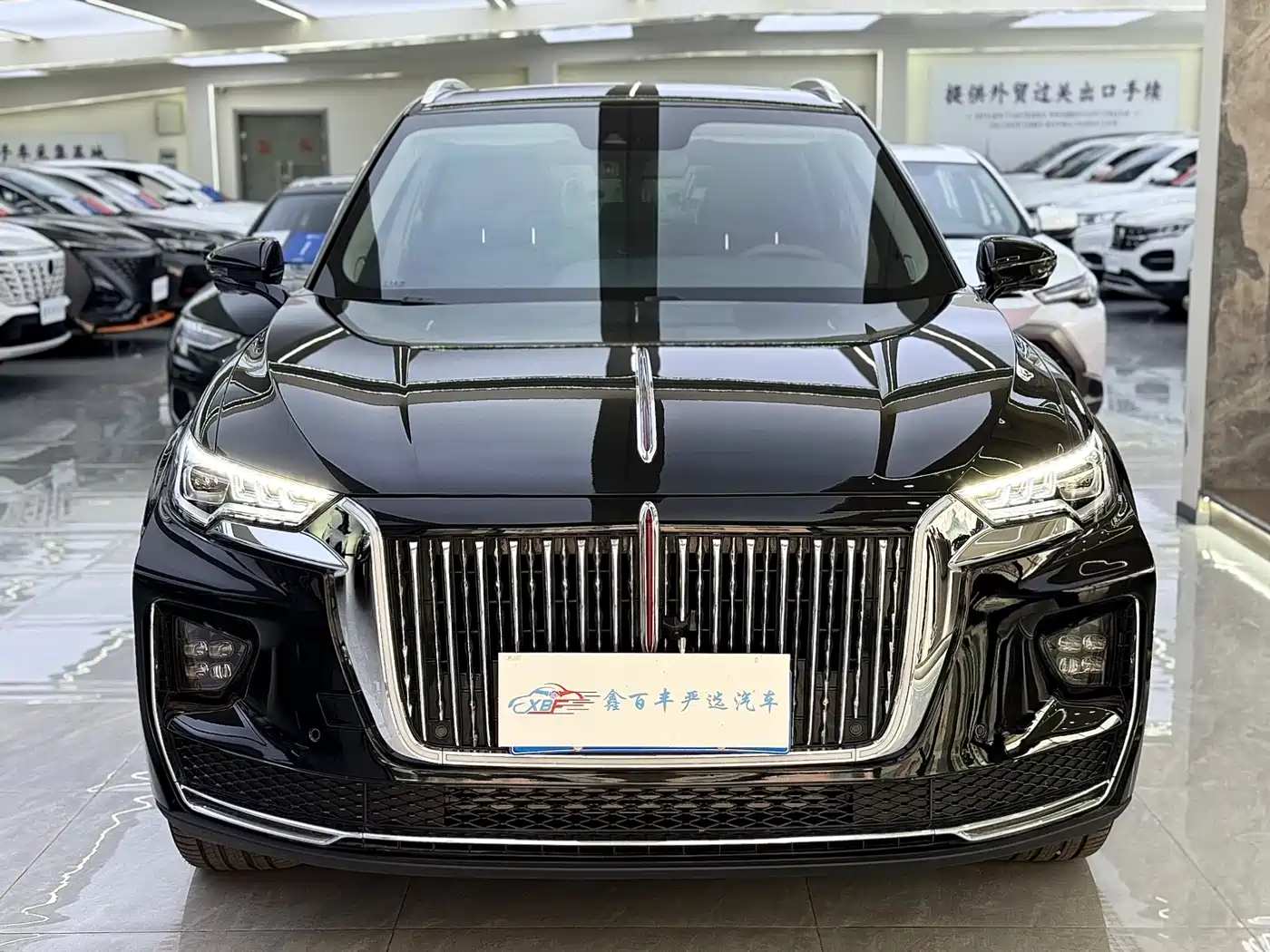 Hongqi HS5 2022 Facelift 2.0T Smart Flag Enjoyment AWD Edition фото 2