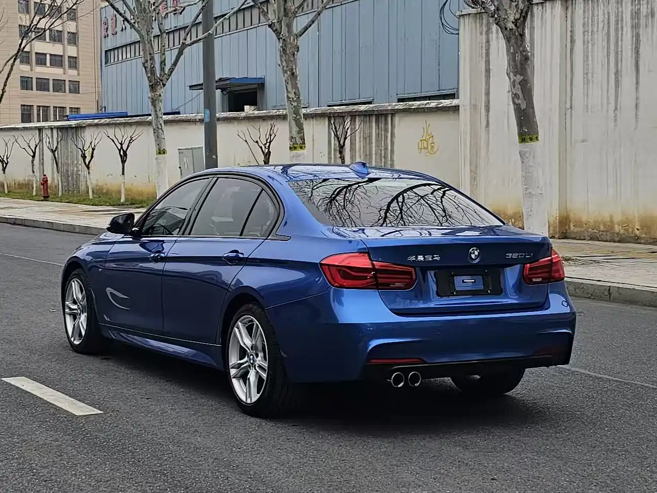 BMW 3 Series 2019 320Li M Luxury Package фото 9