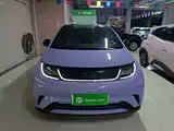 Фото 3 - BYD Dolphin