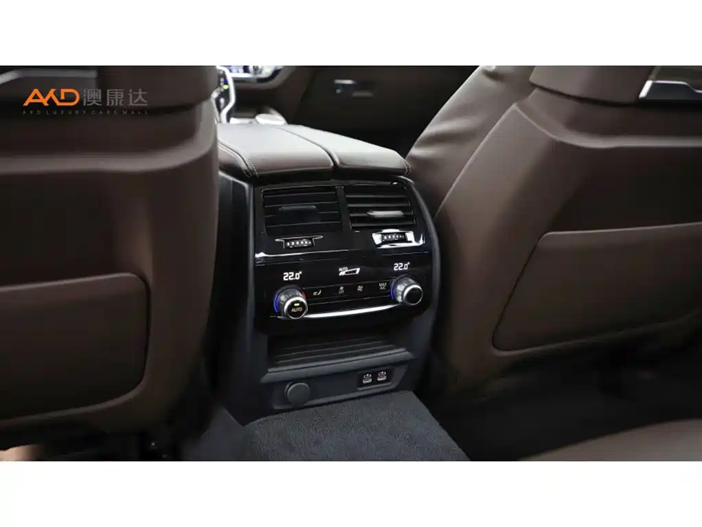 BMW 5 Series 2020 530Li Premium Luxury Package фото 9