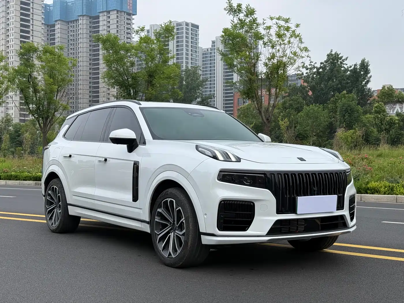 Lynk & Co 09 EM-P 2024 2.0TD EM-P AWD PRO 7-Seater фото 3