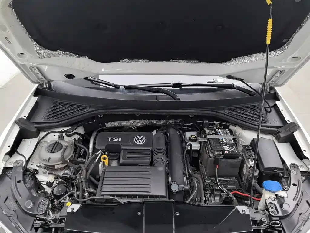 Volkswagen T-ROC 2019 2019 280TSI DSG 2WD Progressive Version China VI