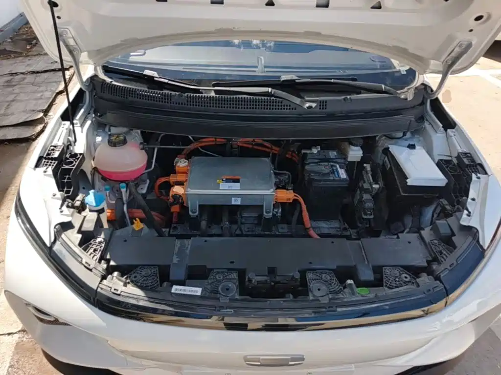 Geely Geometry E Firefly 2025 2024 Model 401km Fluorescent