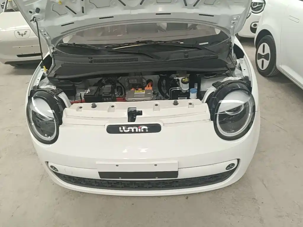 Changan Lumin 2026 2026 Model 205km Treasure Edition