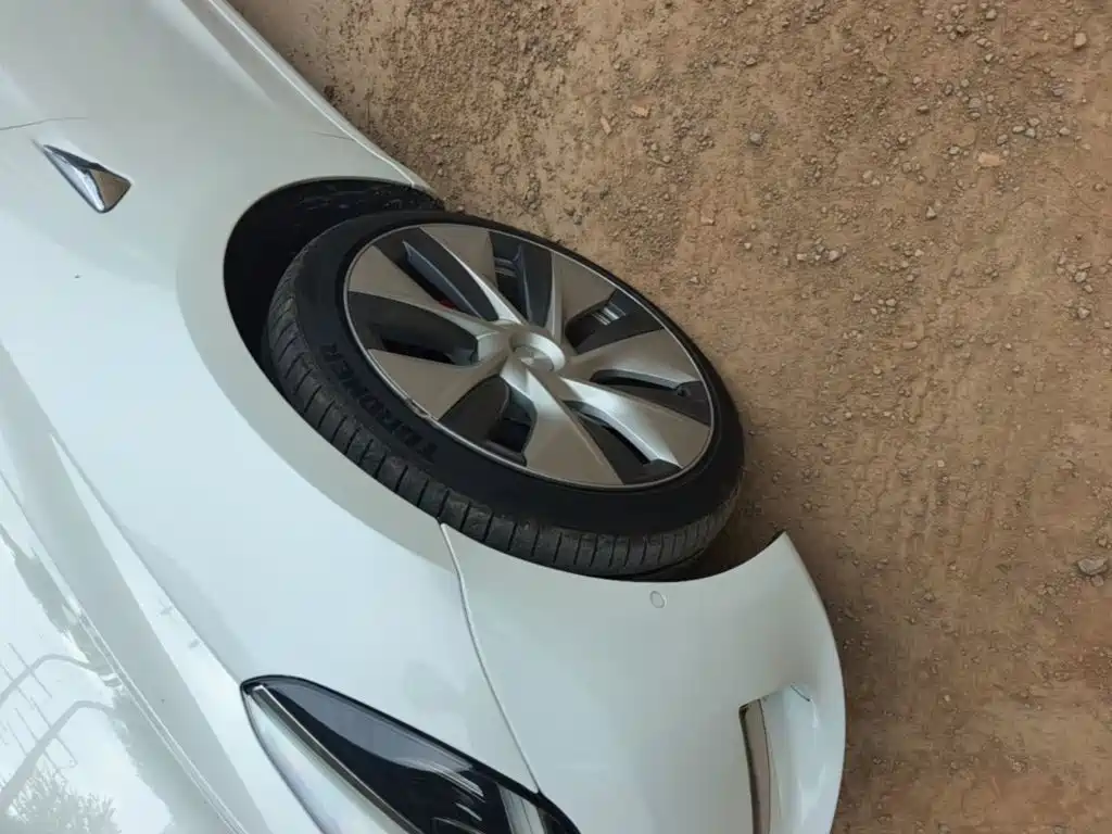 Tesla Model 3 (Import) 2019 2019 Performance High-Efficiency All-Wheel Drive Version