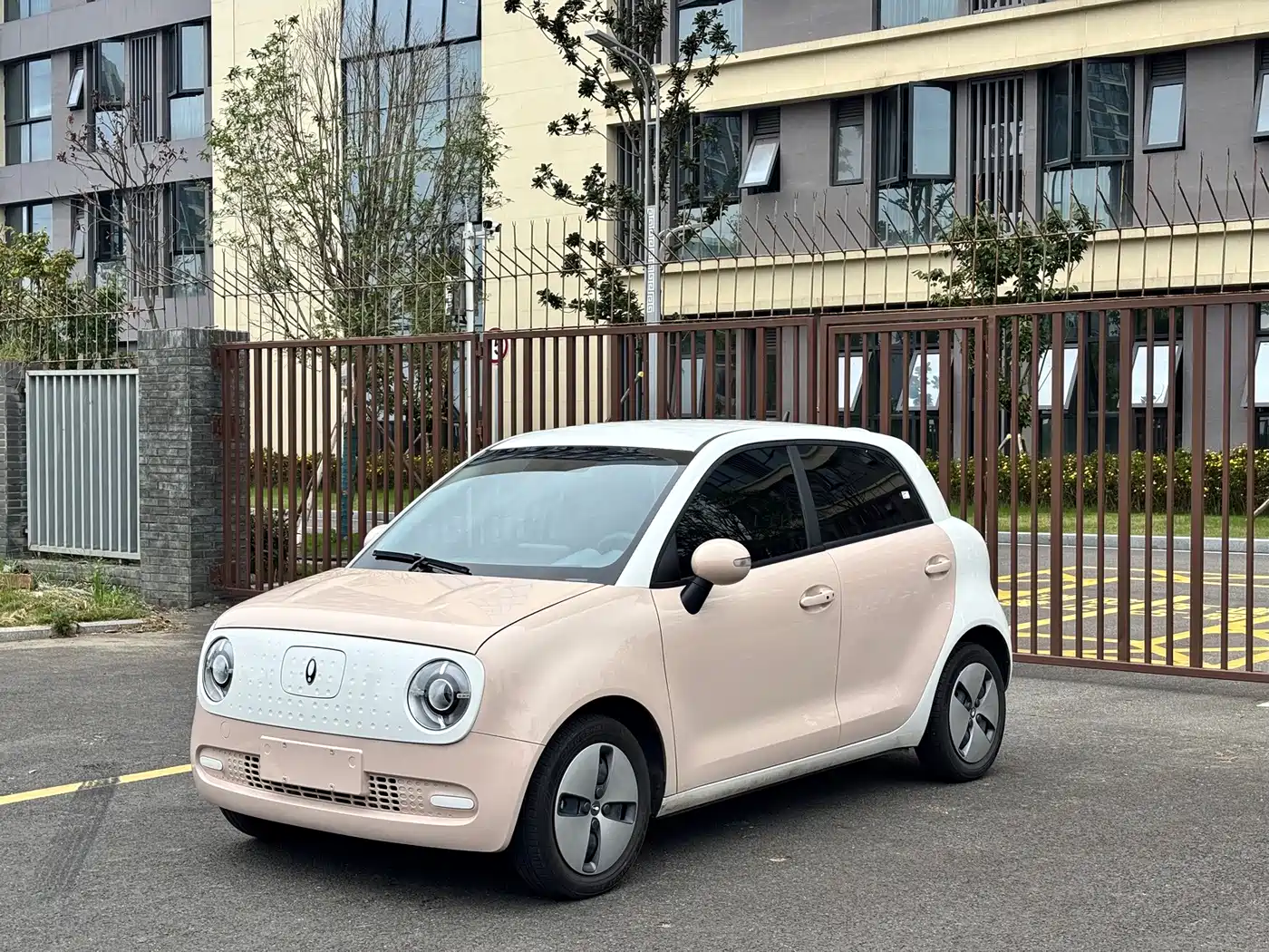 Ora Black Cat 2022 2021 301km Pet Edition