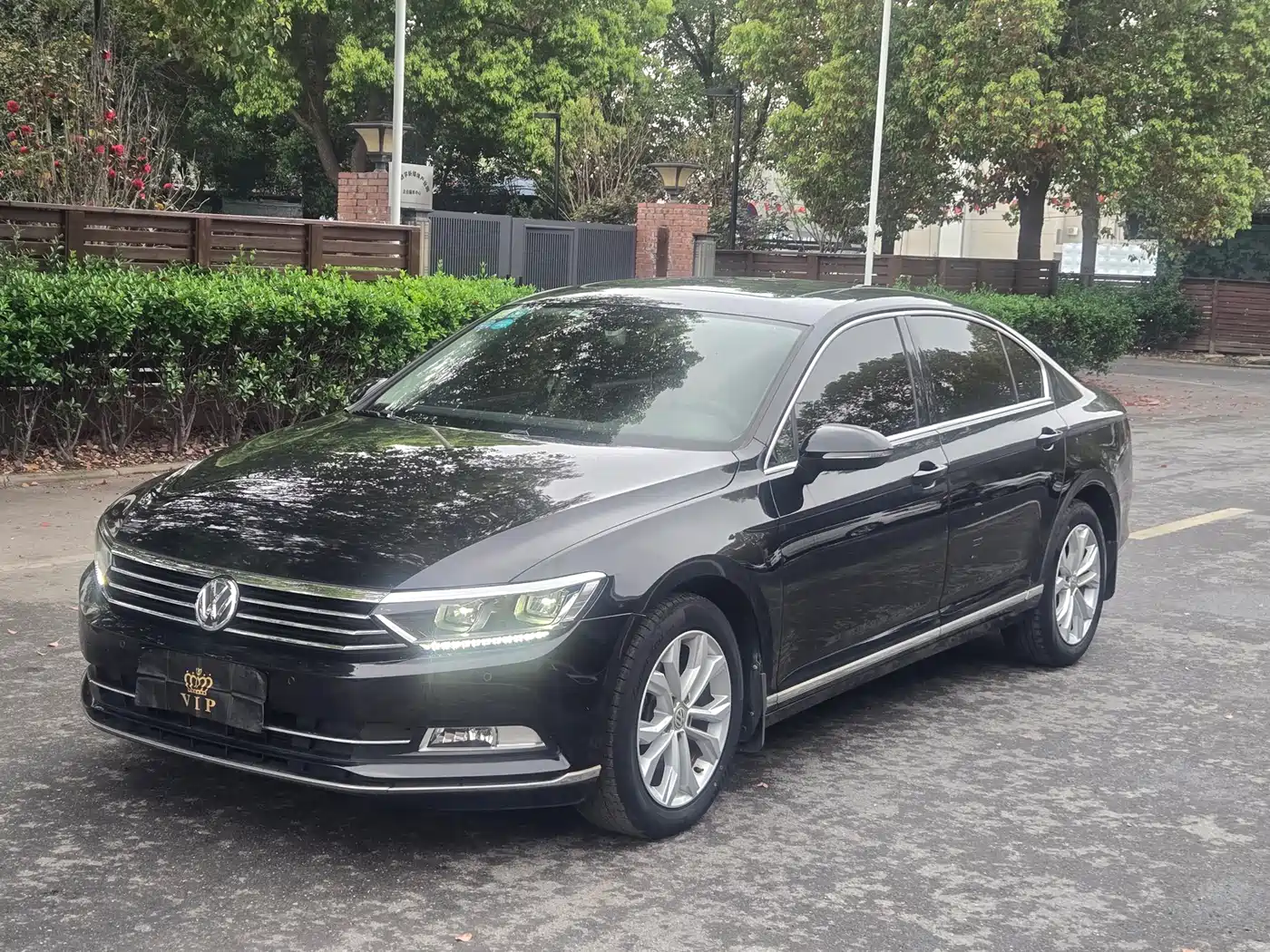 Volkswagen Magotan 2019 330TSI DSG Luxury Class China VI