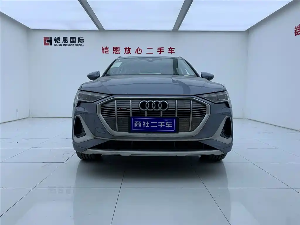 Audi e-tron 2021 50 quattro Luxury фото 2