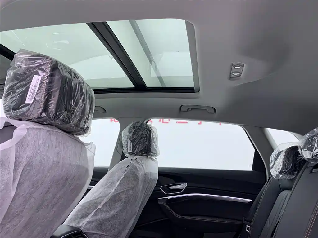 Audi e-tron 2021 50 quattro Luxury фото 26