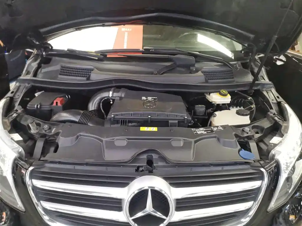 Mercedes-Benz V-Class 2018 V 260 Pilot Edition China V фото 20