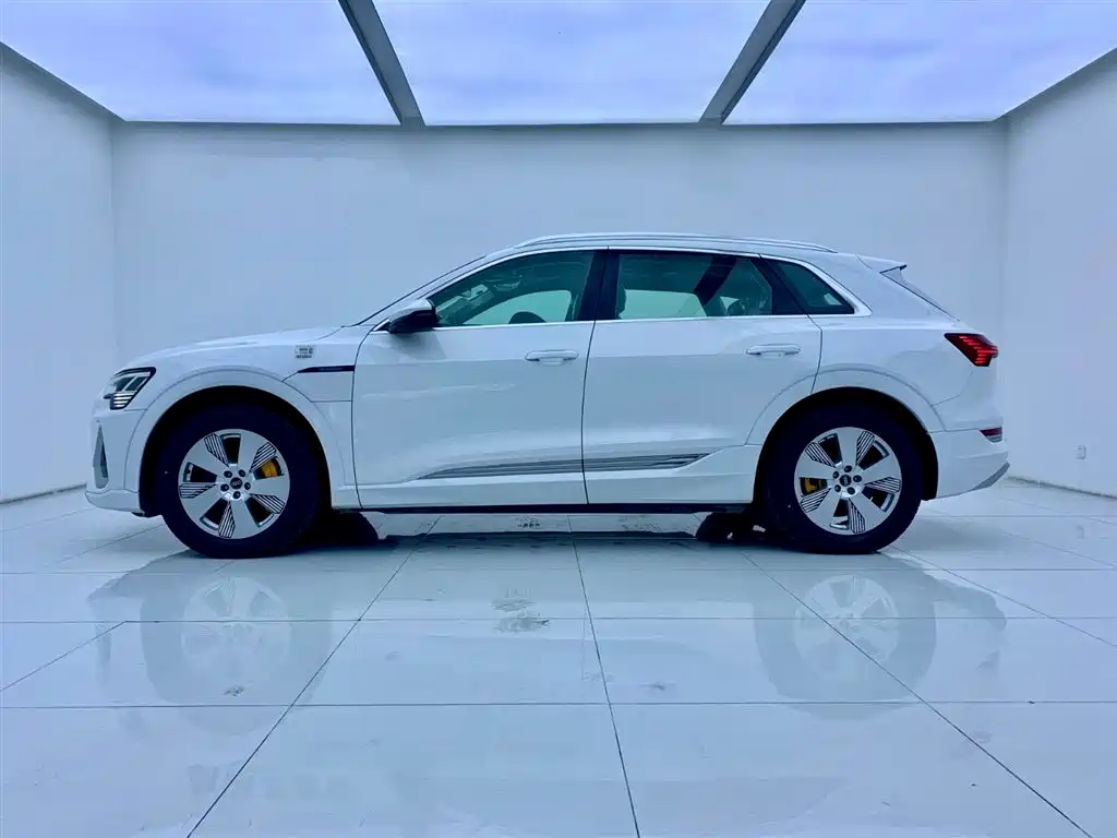 Audi e-tron 2021 50 quattro Luxury фото 3