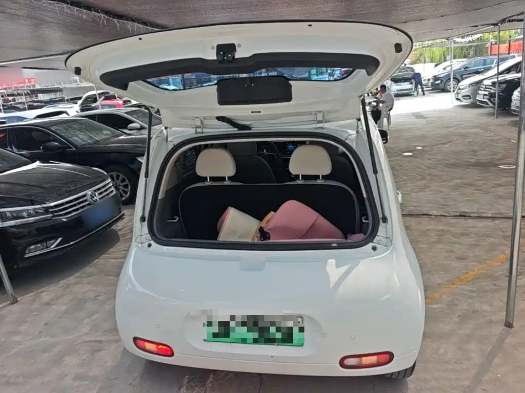 Ora White Cat 2022 2022 Upgraded 305km Luxury (NMC)