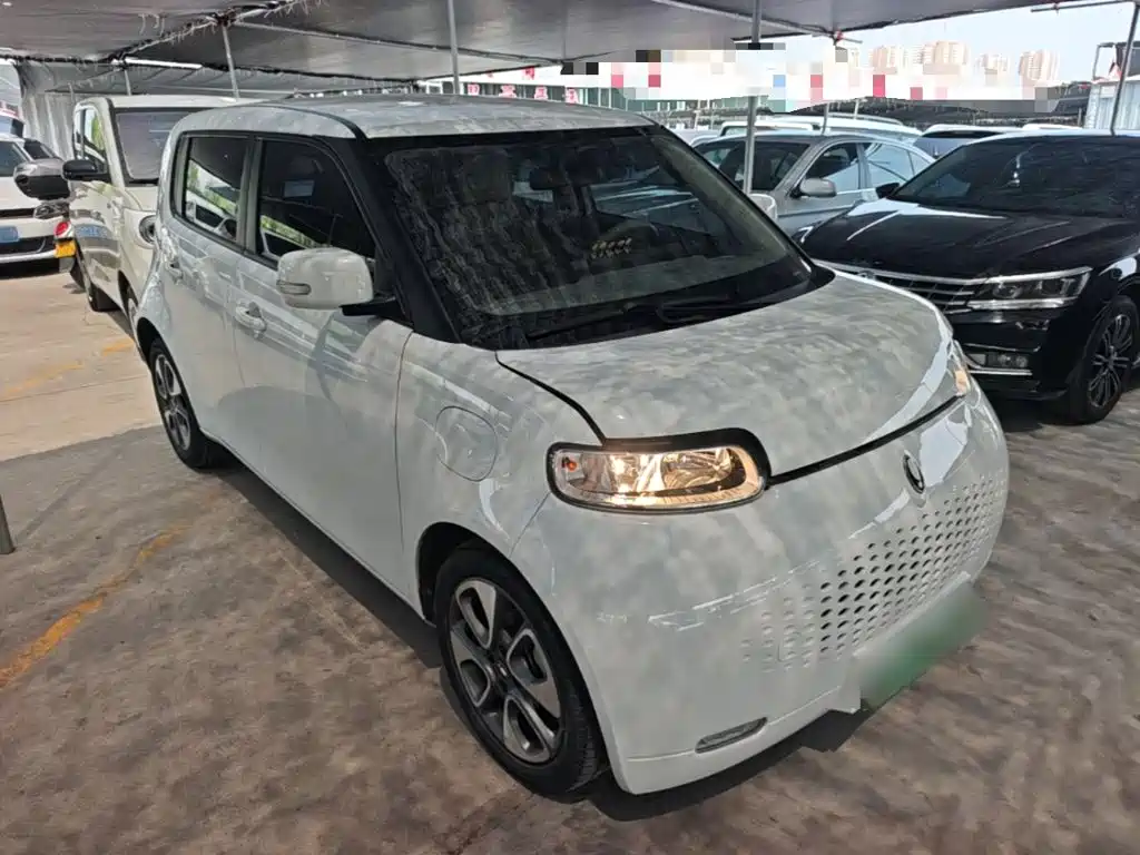 2022 Ora White Cat