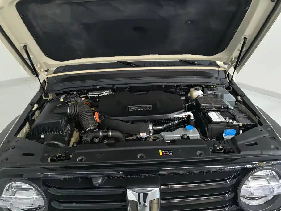 Tank 300 New Energy 2025 2025 Hi4-T