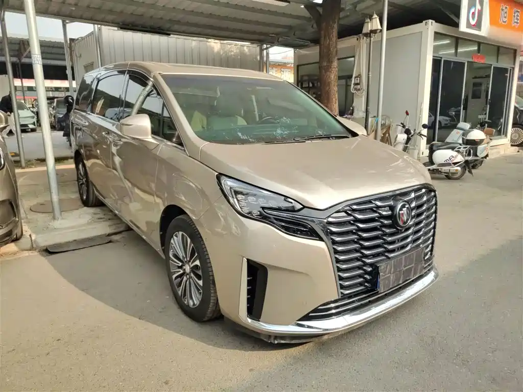 Buick GL8 2023 ES Landmaster Luxury фото 20