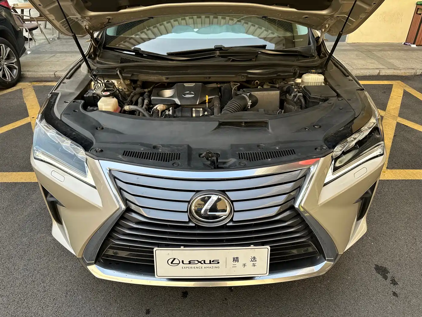 Lexus RX 2016 300 4WD Elegance Edition (China V) фото 4