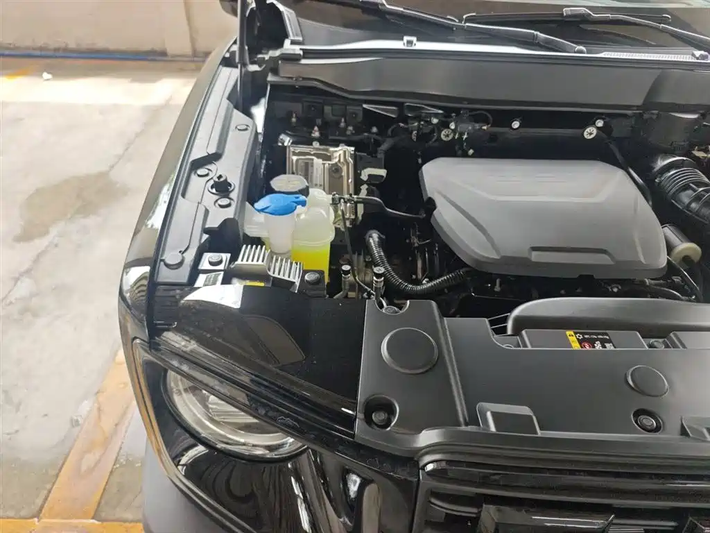 Haval Big Dog 2026 Model 1.5T High Configuration фото 23