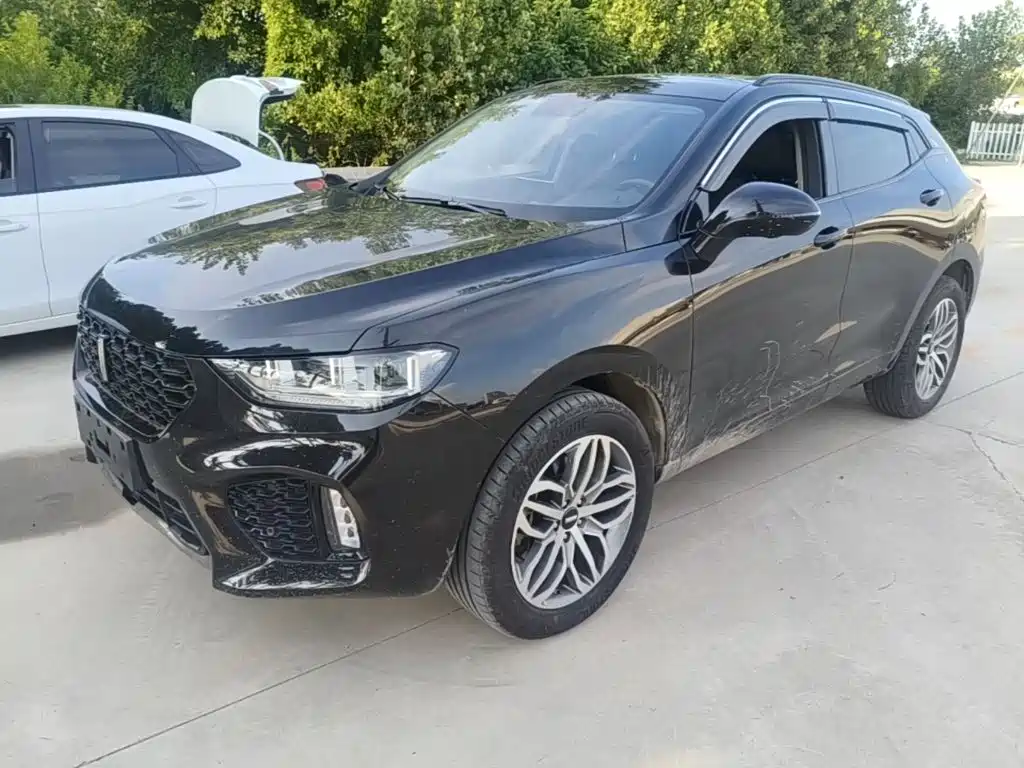 WEY VV5 2017 2017 2.0T Super Luxury Model