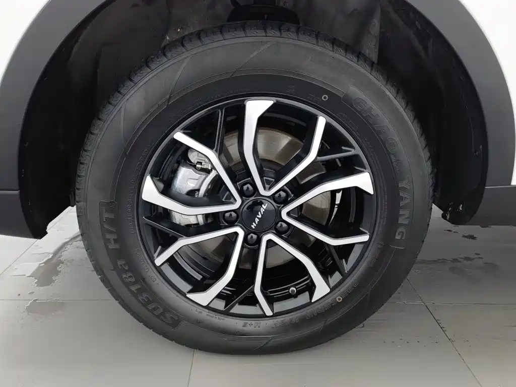 Haval H6 2025 2023 National Trend Edition 1.5T Automatic Urban