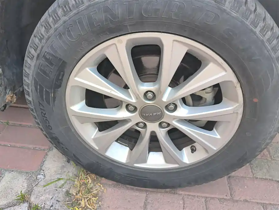 Haval H6 2018 Blue Label Sport 1.5T Automatic 2WD Elite фото 6