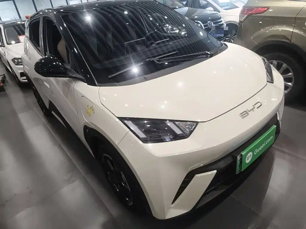 BYD Seagull 2024 Glory Edition 305km Freedom Edition фото 4