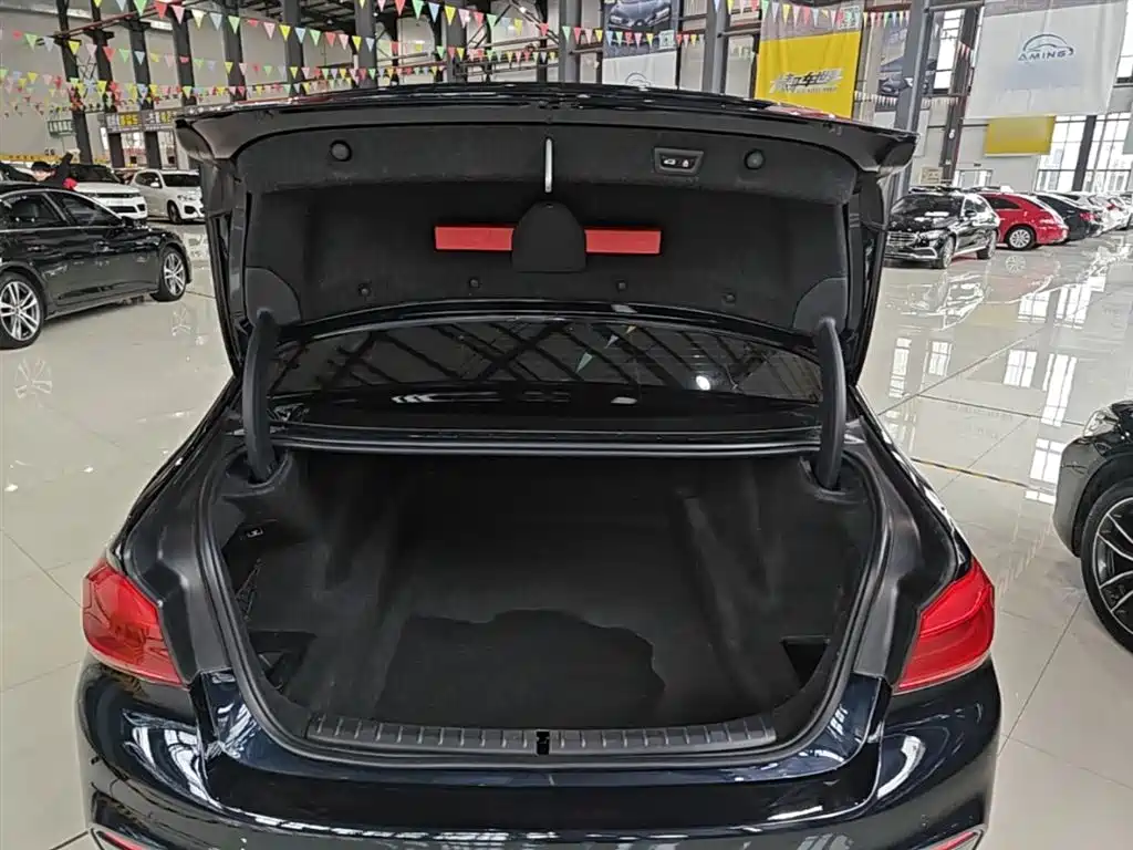 BMW 5 Series 2018 530Li xDrive M Sport Package фото 19
