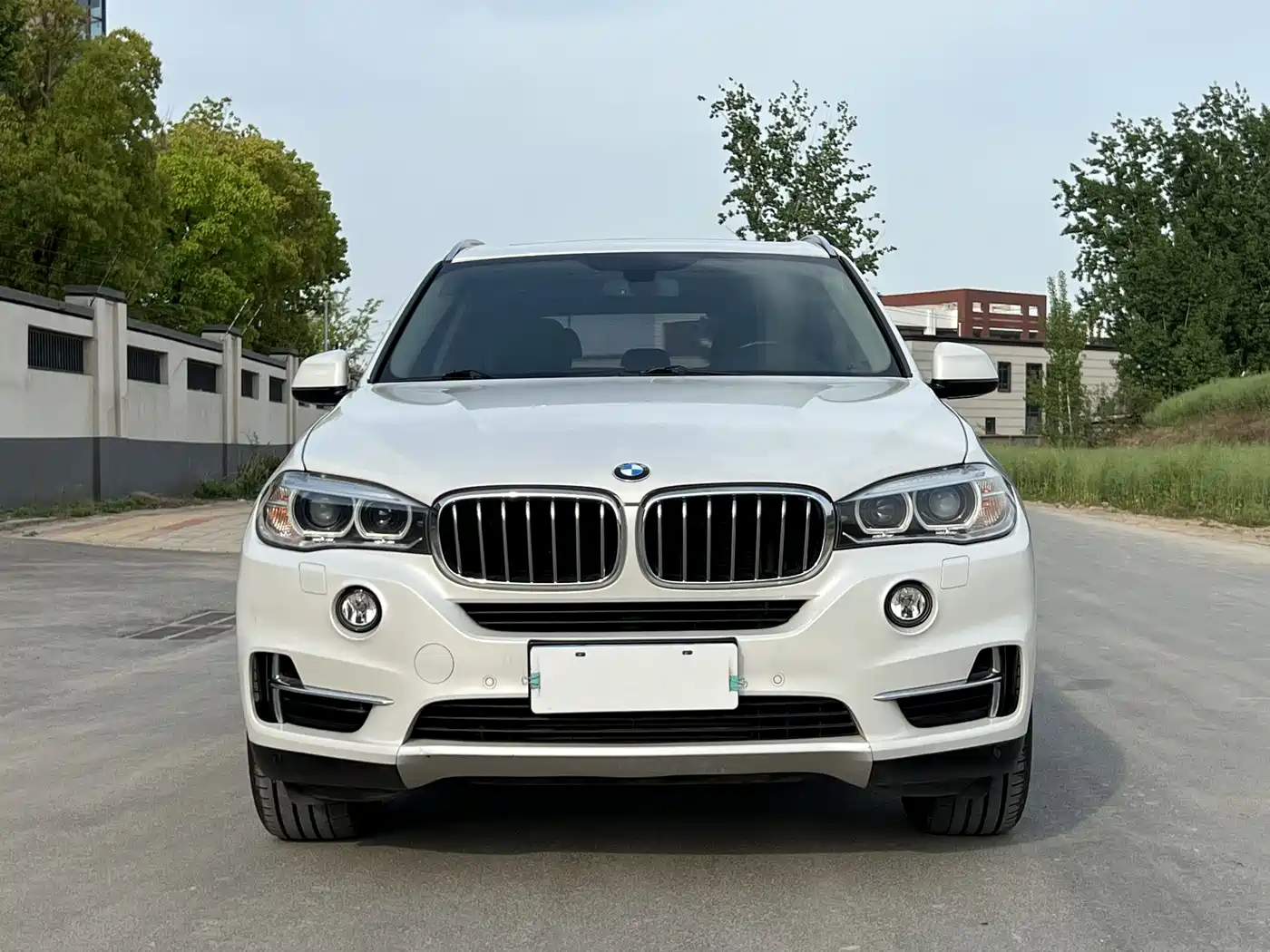 BMW X5 (Import) 2017 xDrive28i фото 2