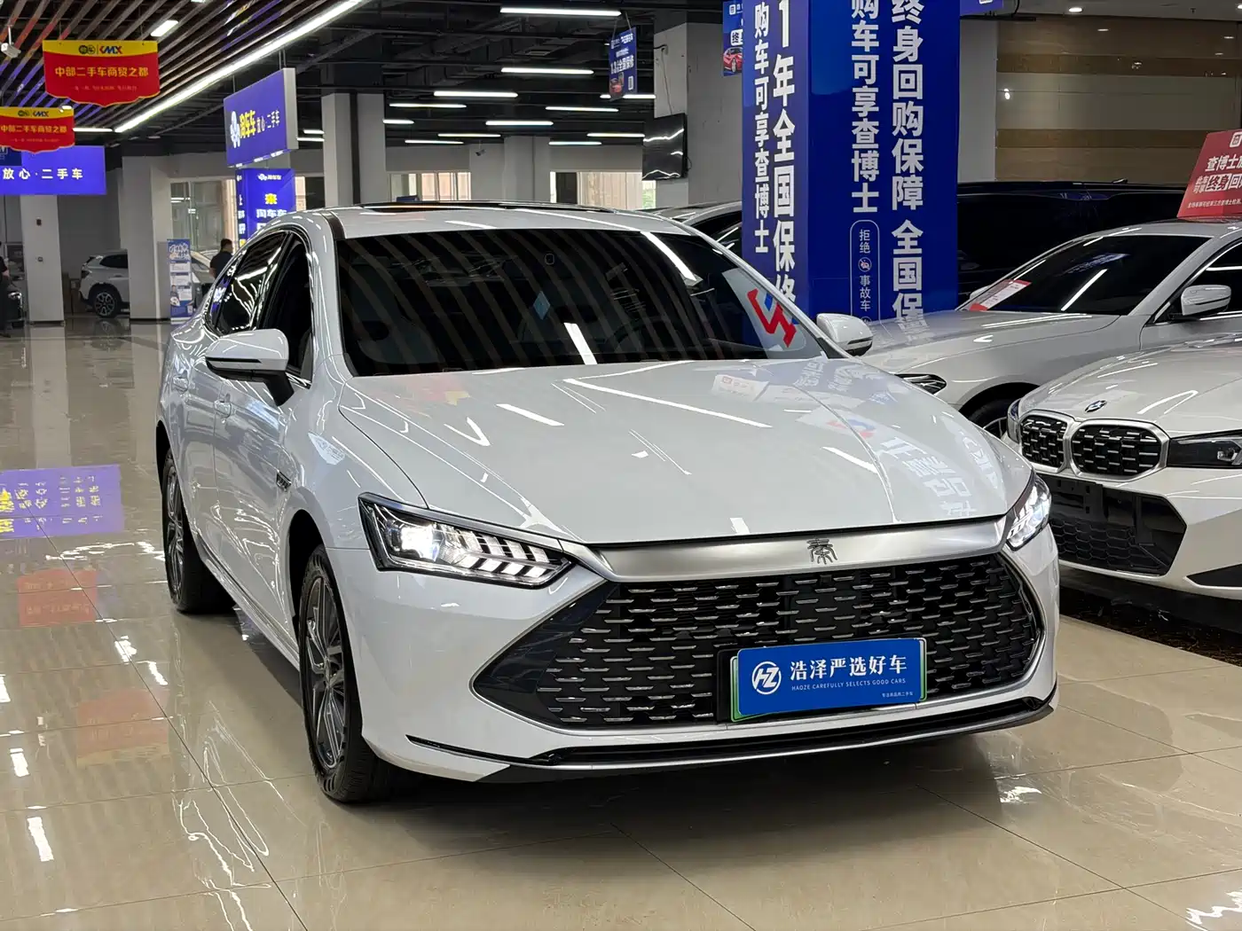 BYD Qin PLUS 2024 Glory Edition DM-i 120KM Surpass фото 3