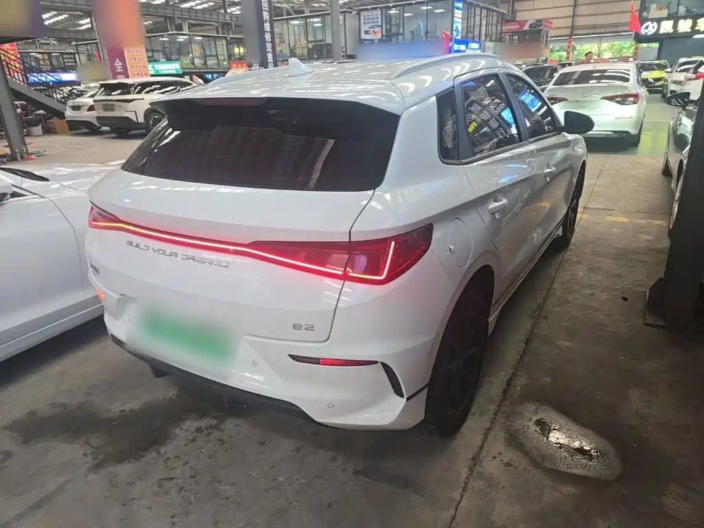 BYD e2 2021 2021 Luxury Edition