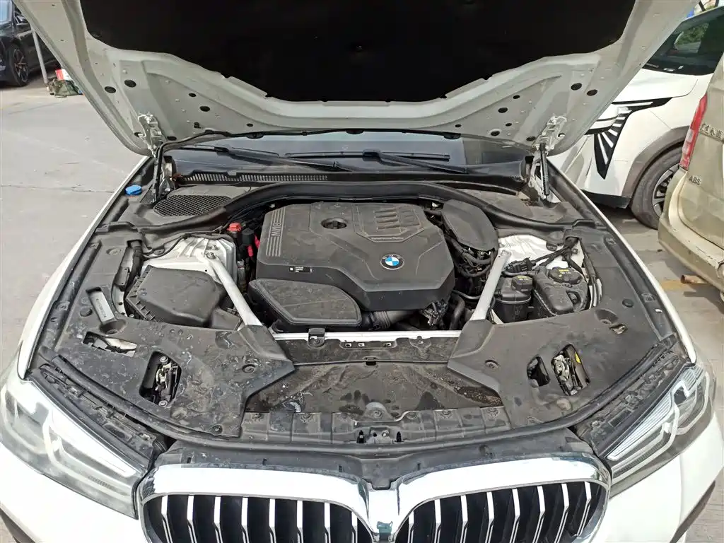 BMW 5 Series 2021 530Li xDrive M Sport Package фото 10