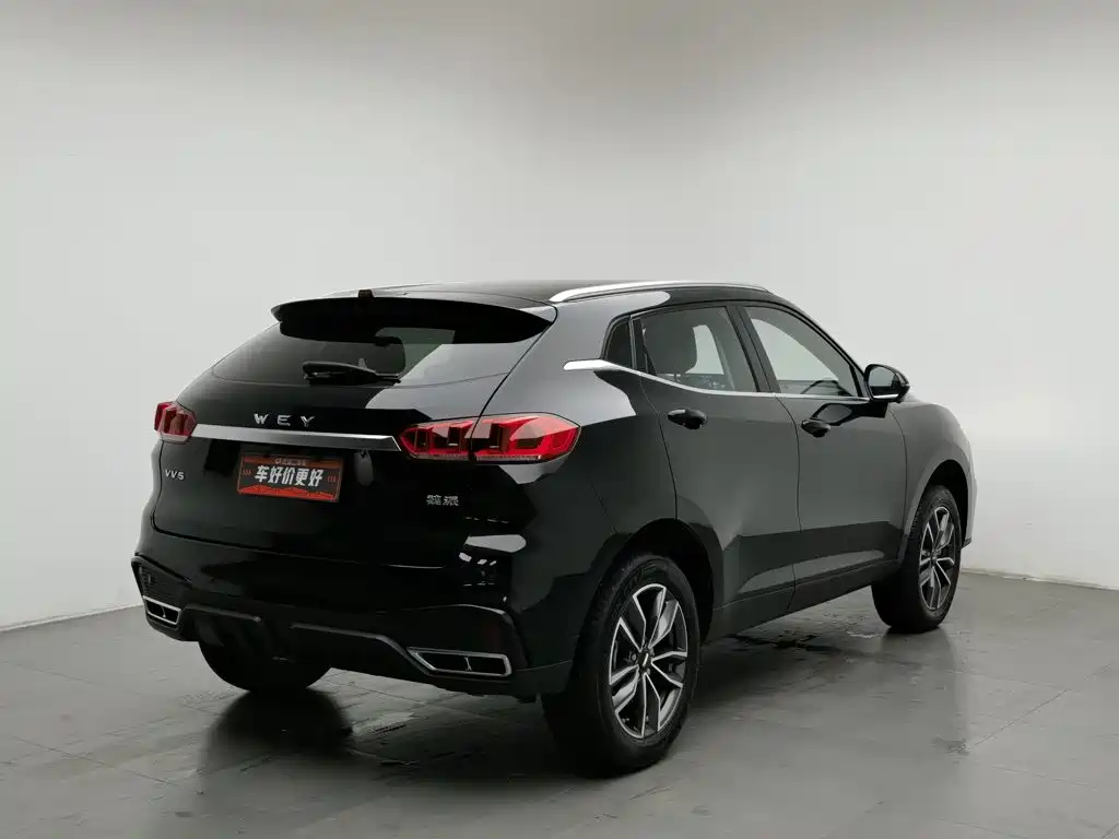2021 WEY VV5