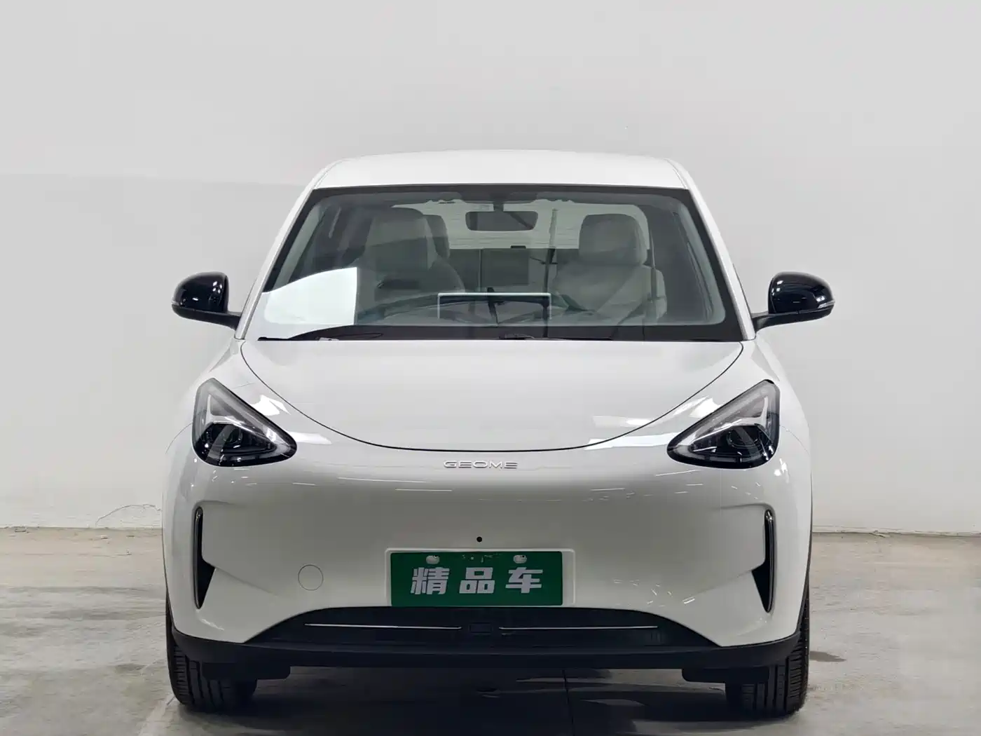 Geely Galaxy Starry Wish 2025 2025 310km Dream Edition