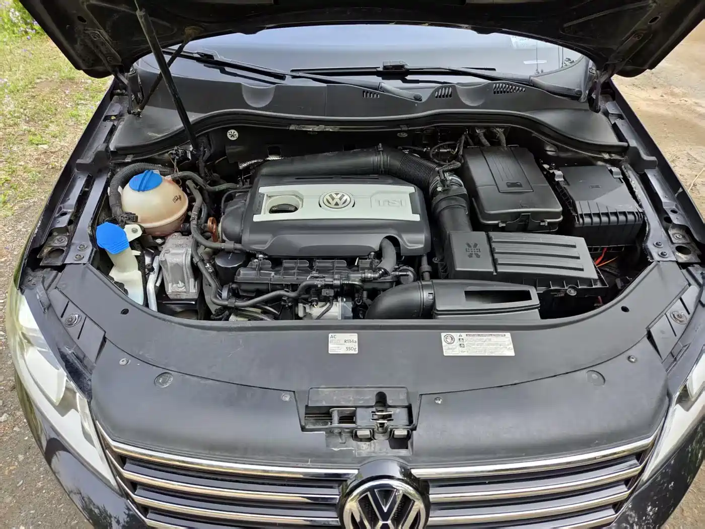 Volkswagen Magotan (Import) 2012 Wagon 2.0TSI Luxury фото 12