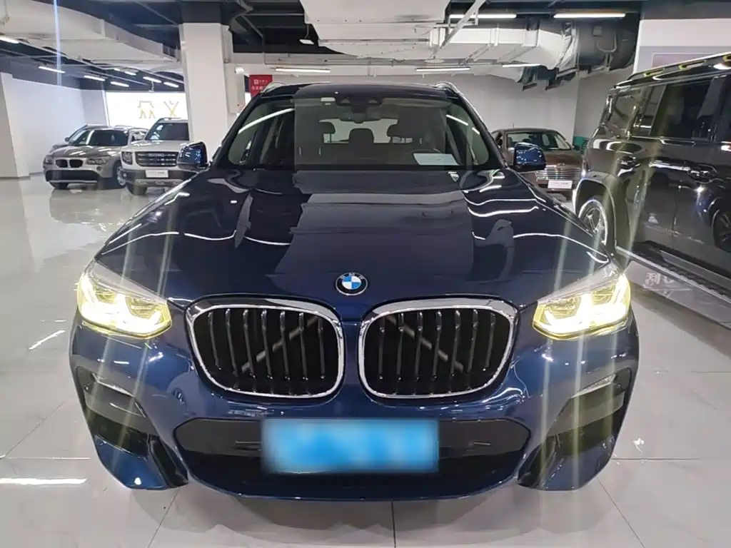 BMW X3 2018 2018 xDrive25i M Sport Package China V