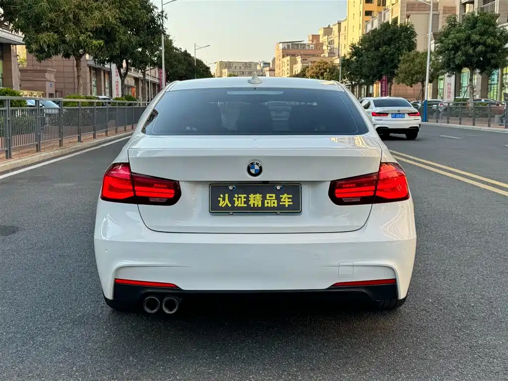 BMW 3 Series 2019 320Li M Sport Black Night Edition фото 12