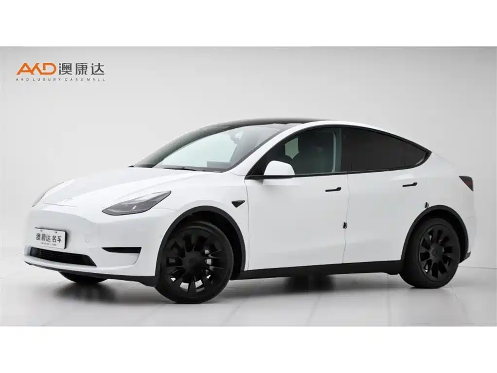 Tesla Model Y 2022 Rear-Wheel Drive Version