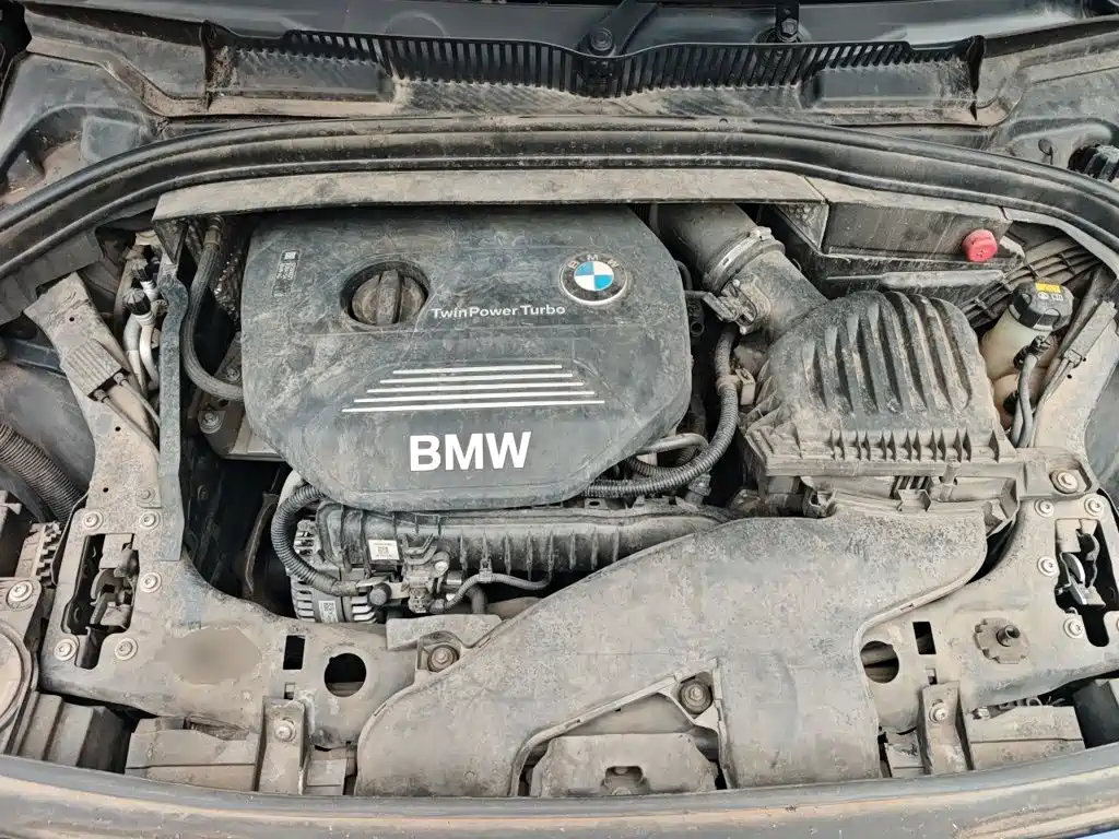 BMW 2 Series Tourer (Import) 2015 2015 218i Sport Design Package