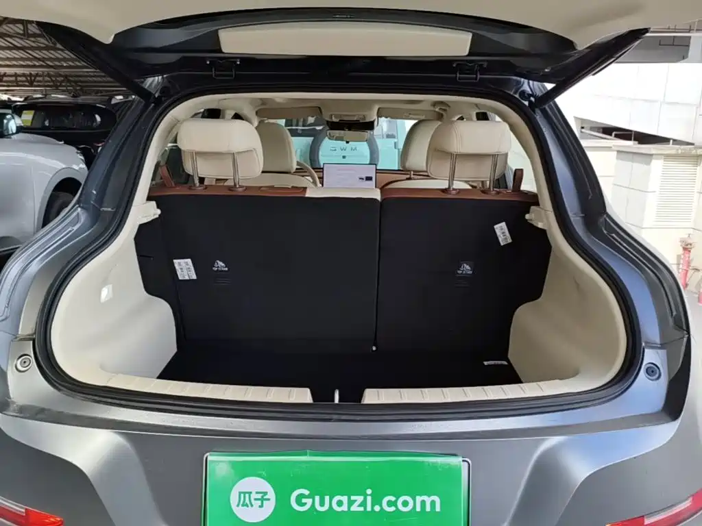 Ora Good Cat 2025 2025 430km Honor Edition