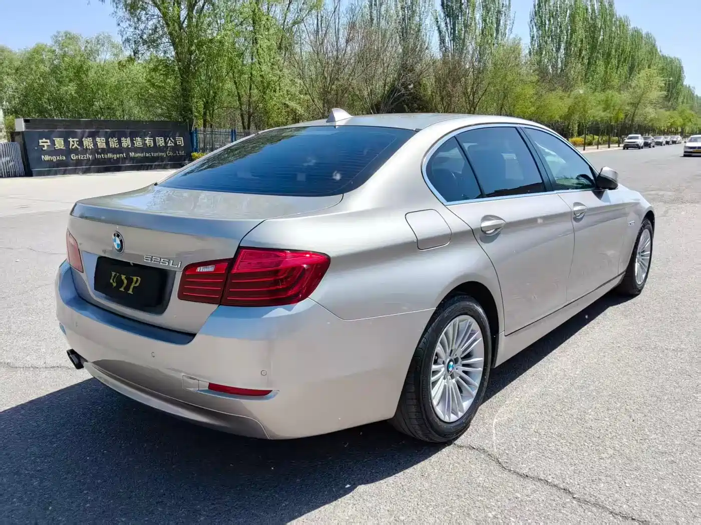 BMW 5 Series 2014 525Li Leading фото 9