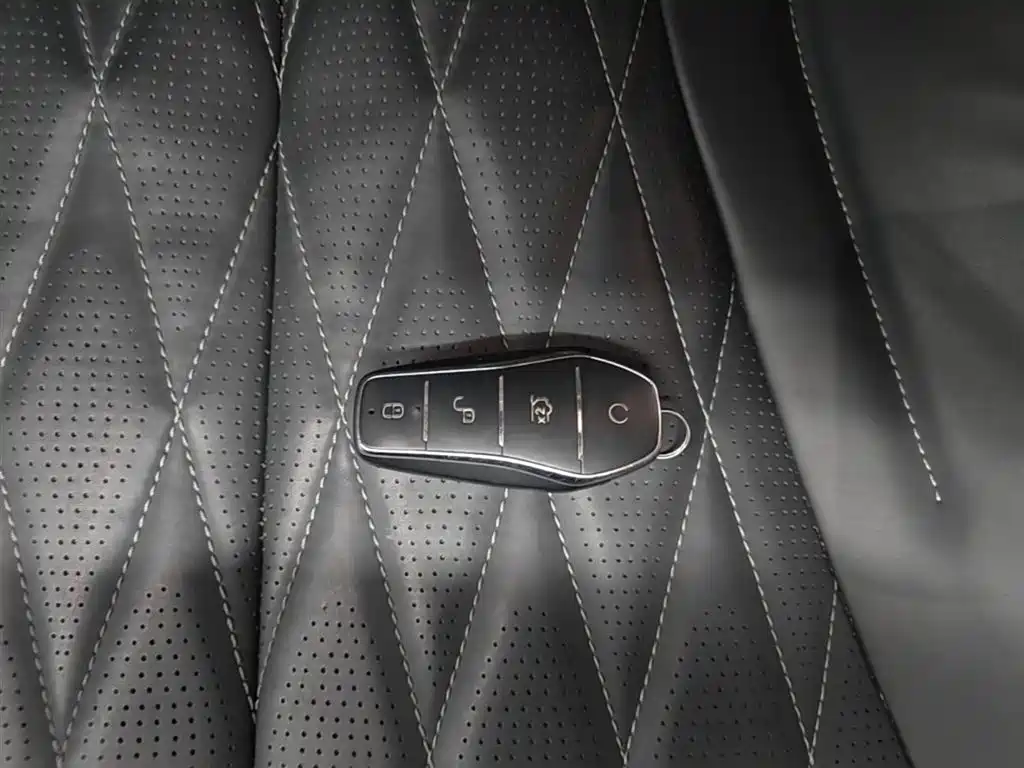 BYD Seal 2023 Champion Edition 550km Elite фото 9