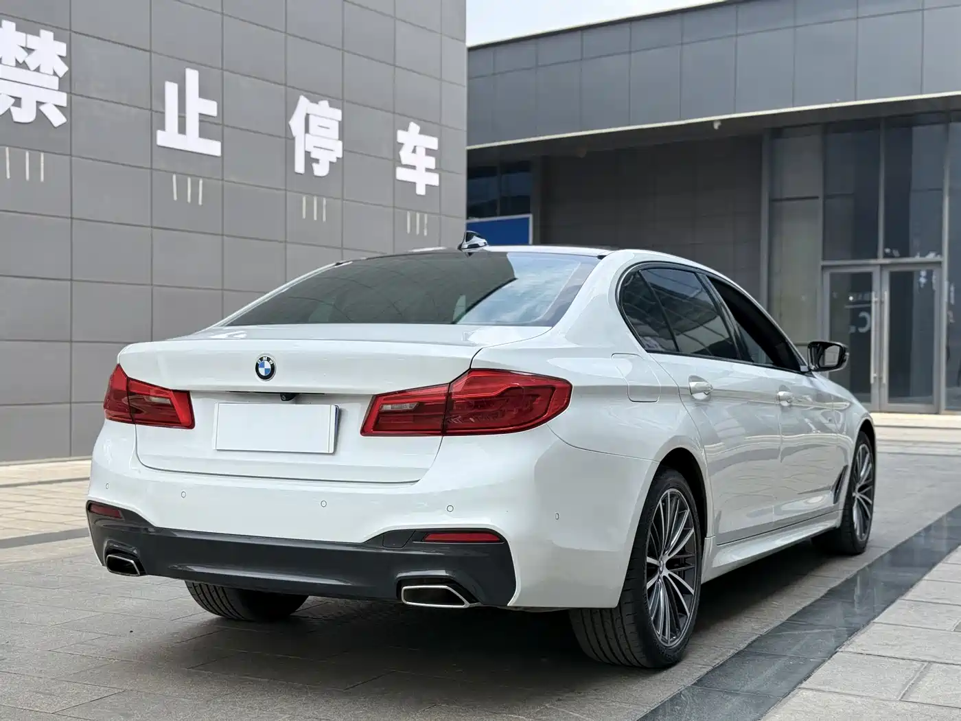 BMW 5 Series 2020 530Li Leading M Sport Package фото 18