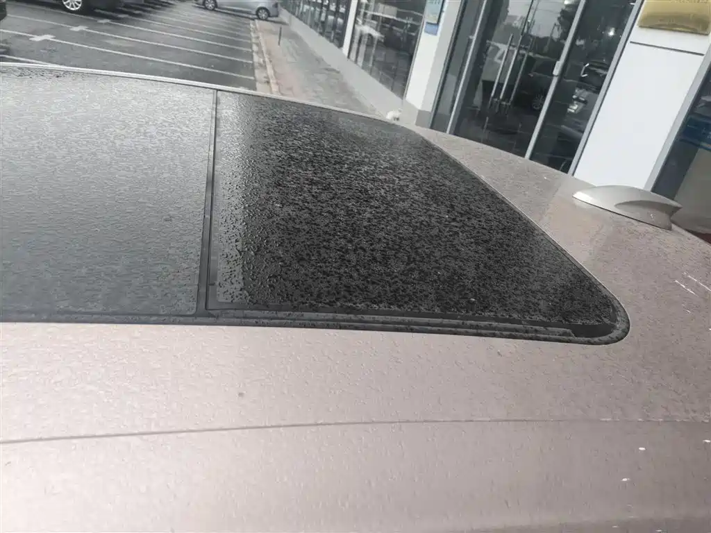 Hongqi H9 2020 3.0T Smart Connect Flagship 4-Seater фото 27