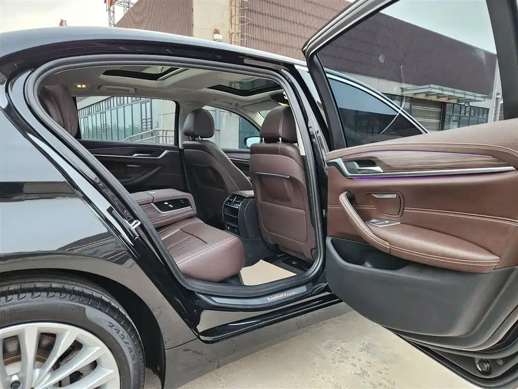 BMW 5 Series 2020 530Li Leading Luxury Package фото 12