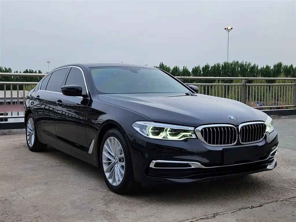 BMW 5 Series 2020 530Li Leading Luxury Package фото 25