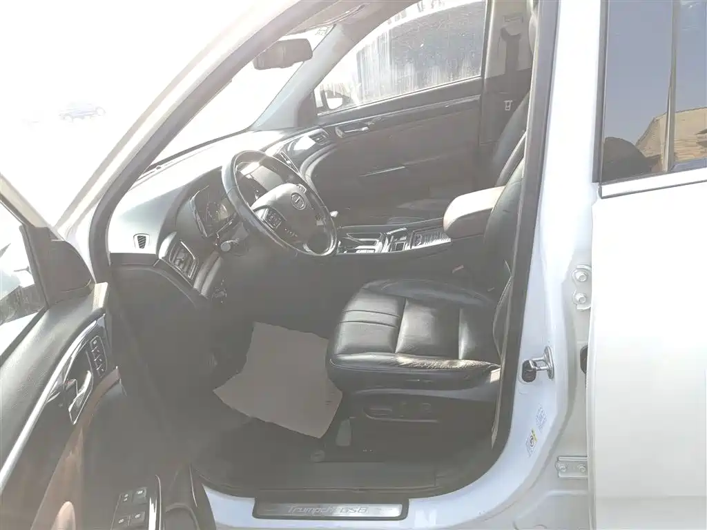 GAC Trumpchi Trumpchi GS8 2017 320T 2WD Luxury Smart Connect (7-seater) фото 15