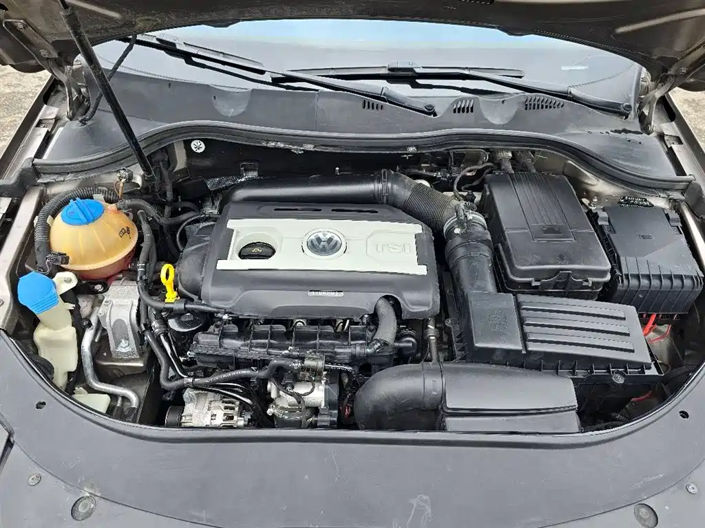 Volkswagen Magotan 2015 1.8TSI Leading фото 11