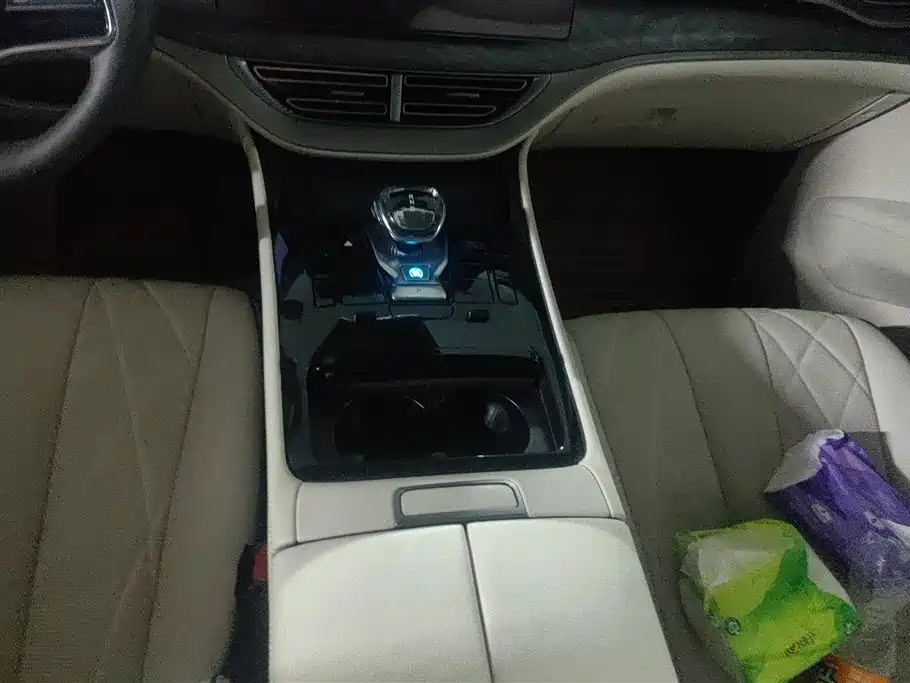 Denza D9 2024 DM-i 1050 Premium фото 16